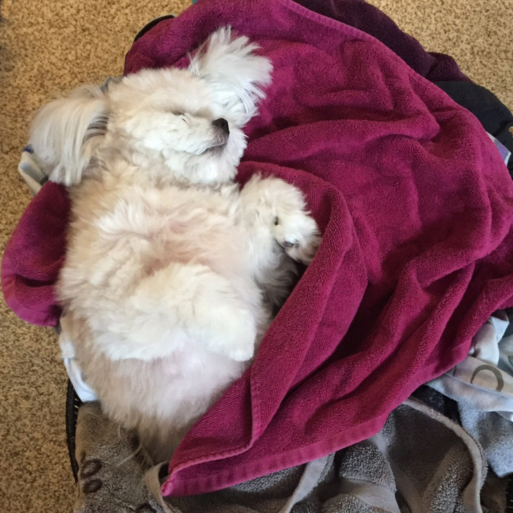 Grief. A Heavy Load.