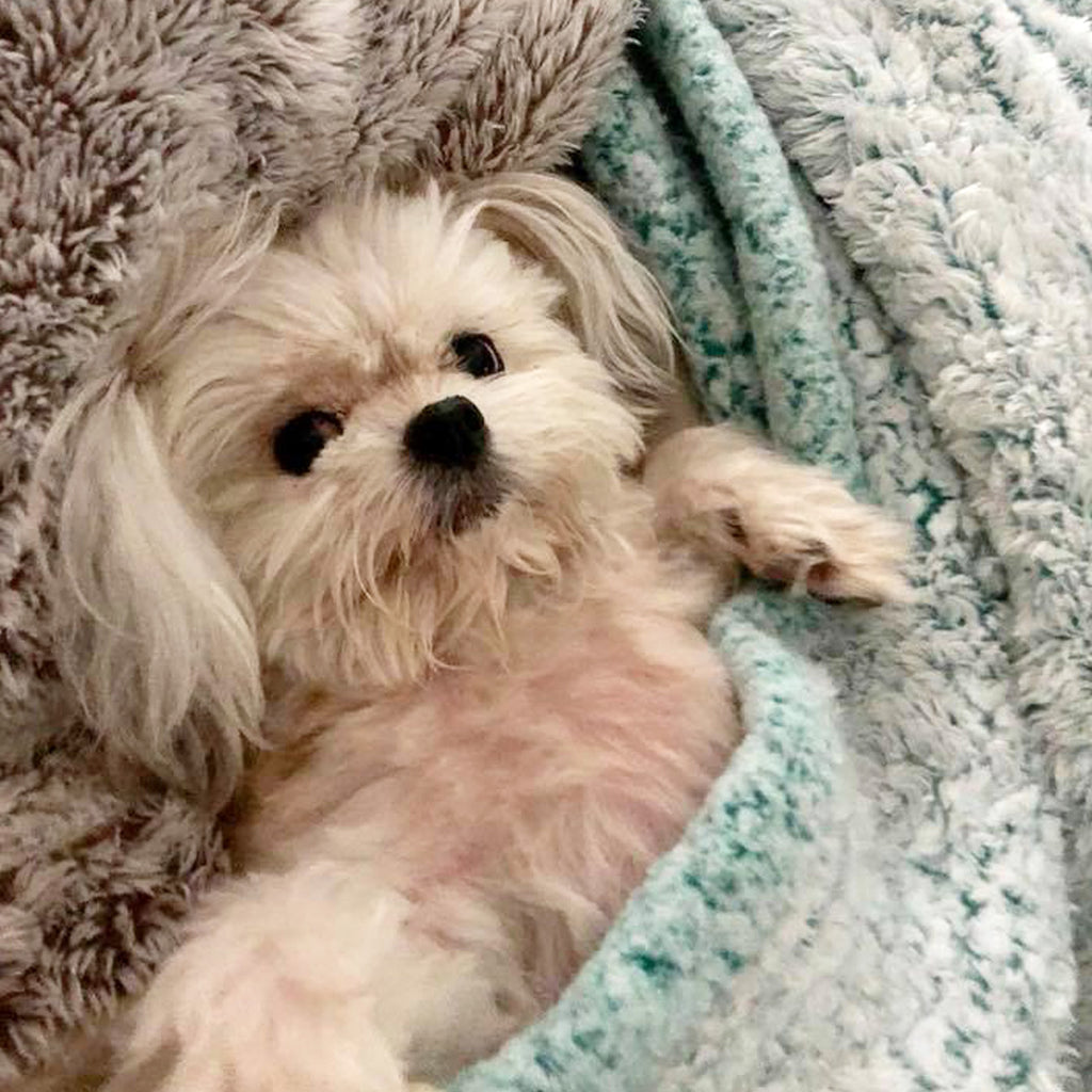 Weathering the Storm