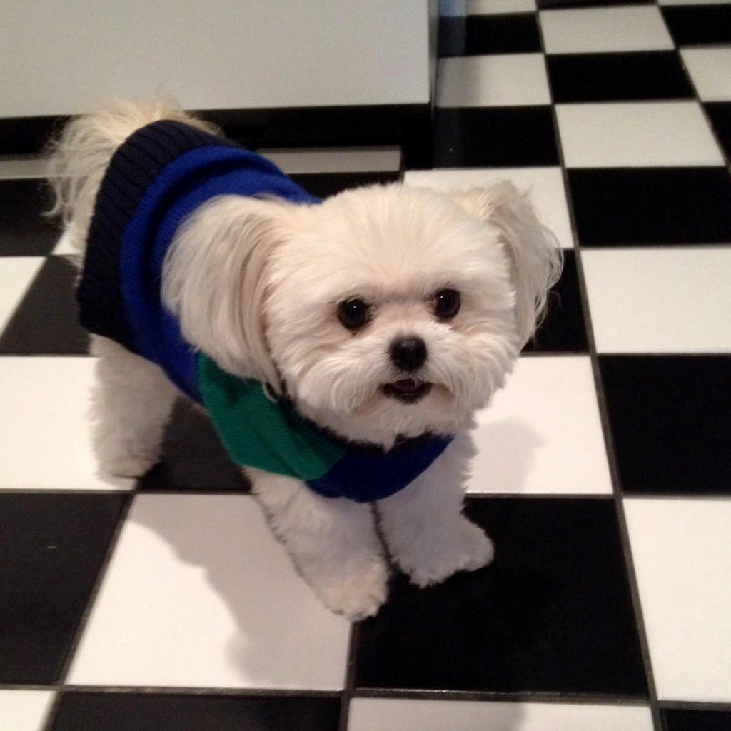 The Kitchen! Friend or Foe?