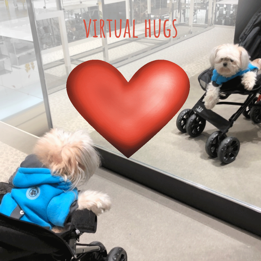 Looking in the Mirror!