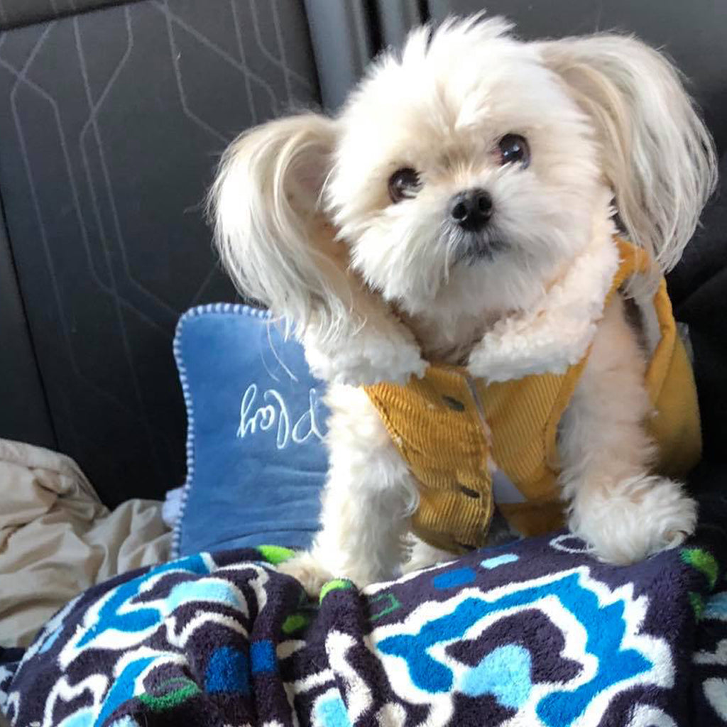 The Little Corduroy Coat!