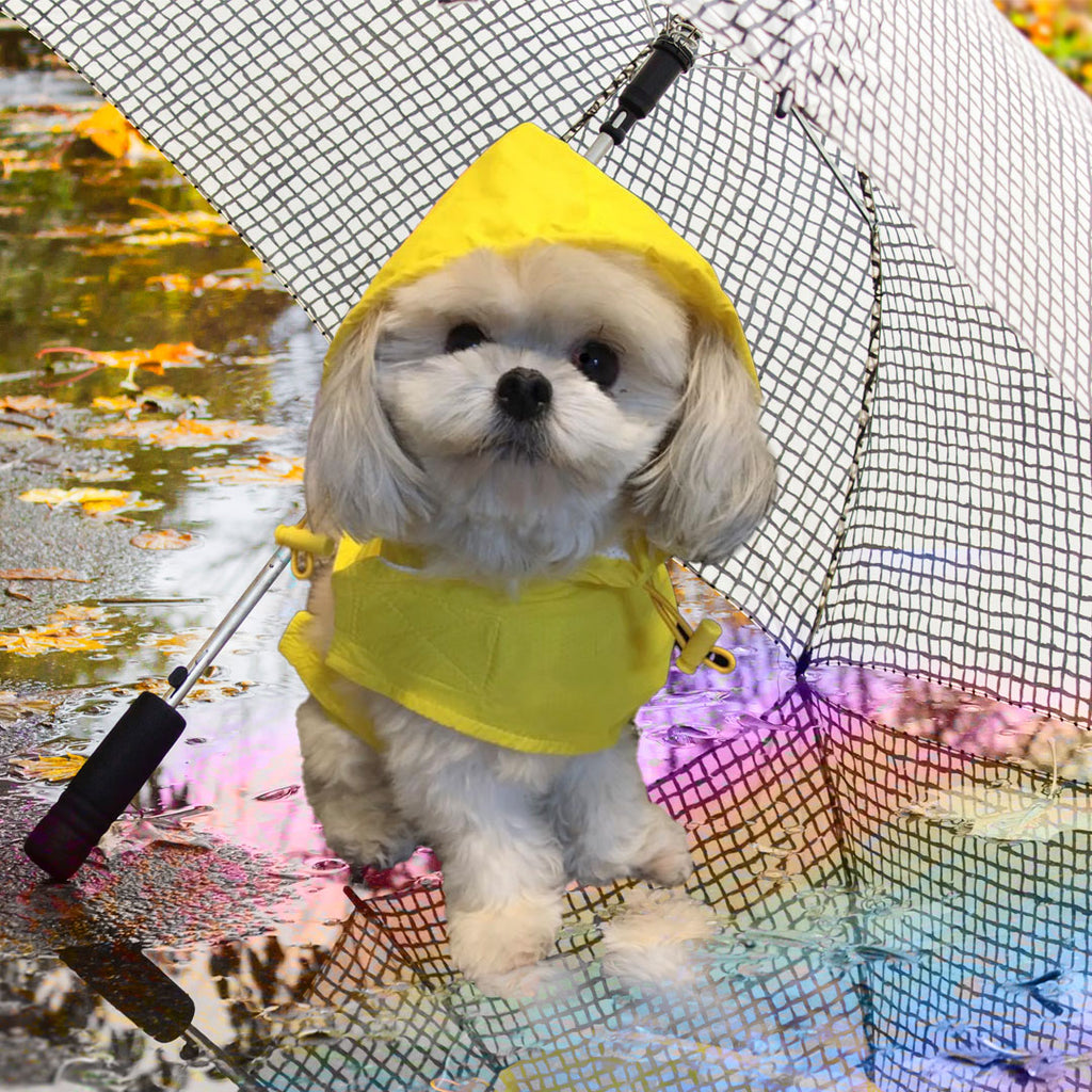 Laughter in the Rain!