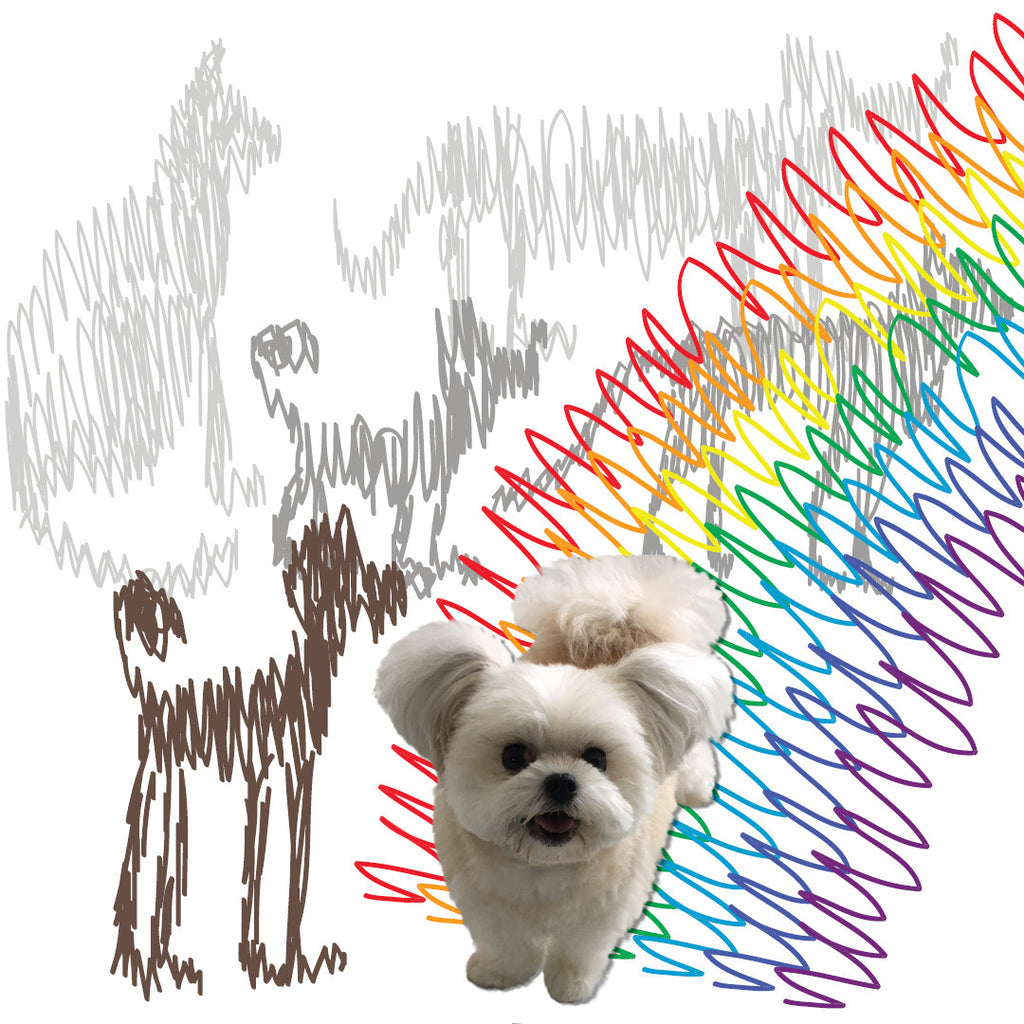 Best Buds at Rainbow Bridge