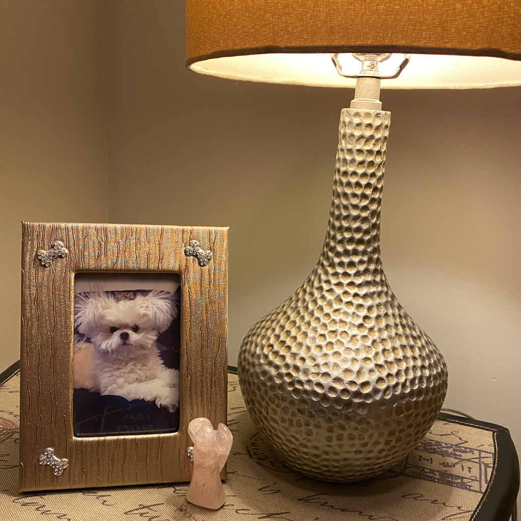 Shining a Light. Forgiveness.