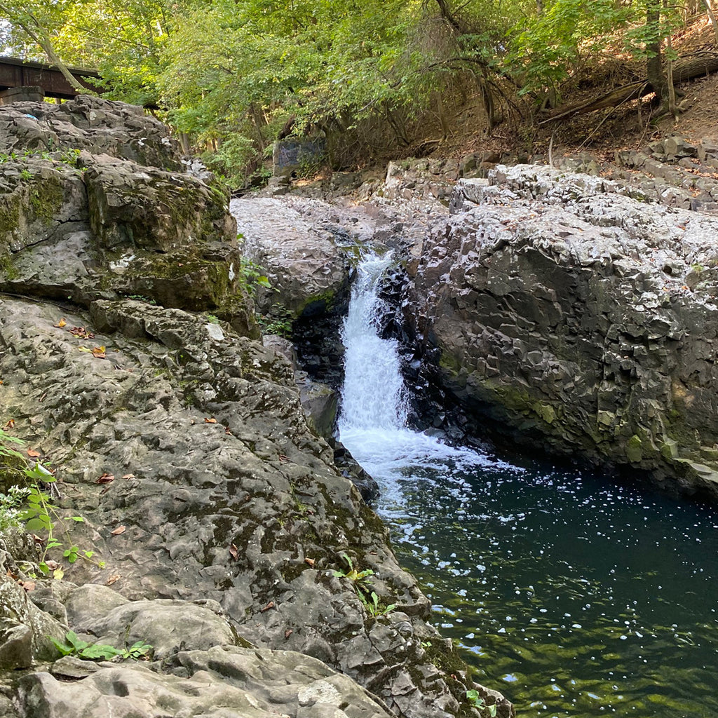 Streams of Happiness!