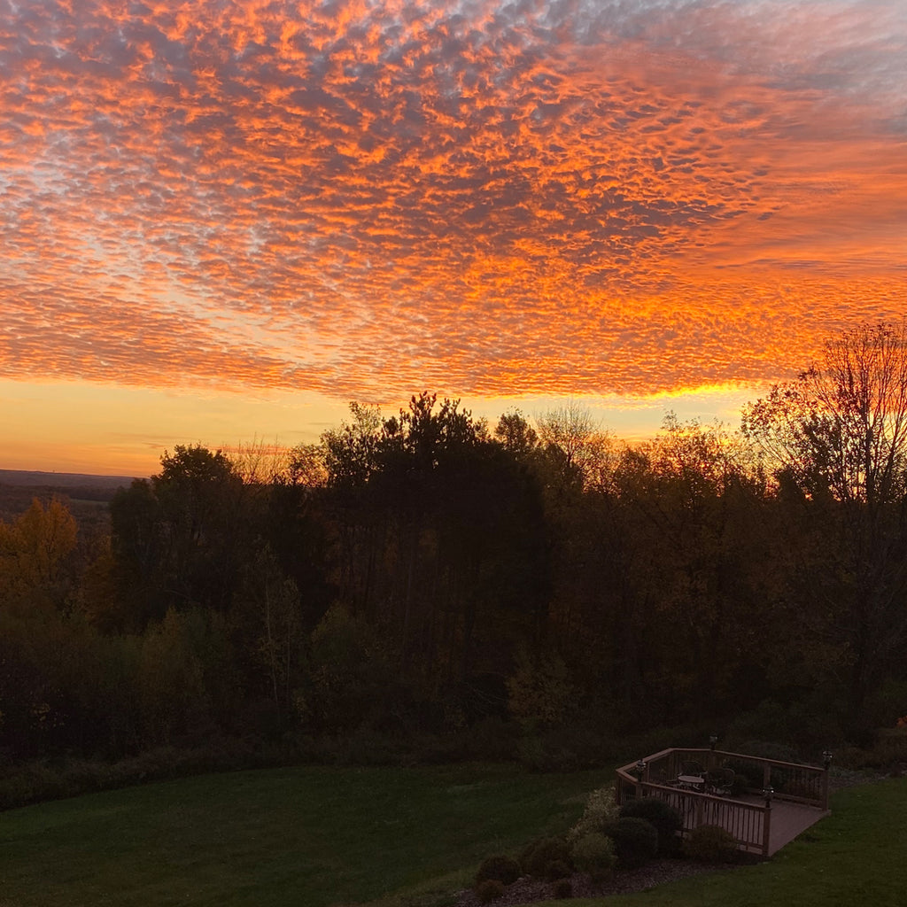 Stress Relief is at your Fingertips!