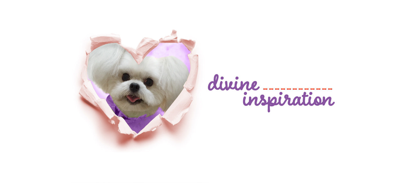 Healing Hearts Journey | Pet Condolencs Gifts