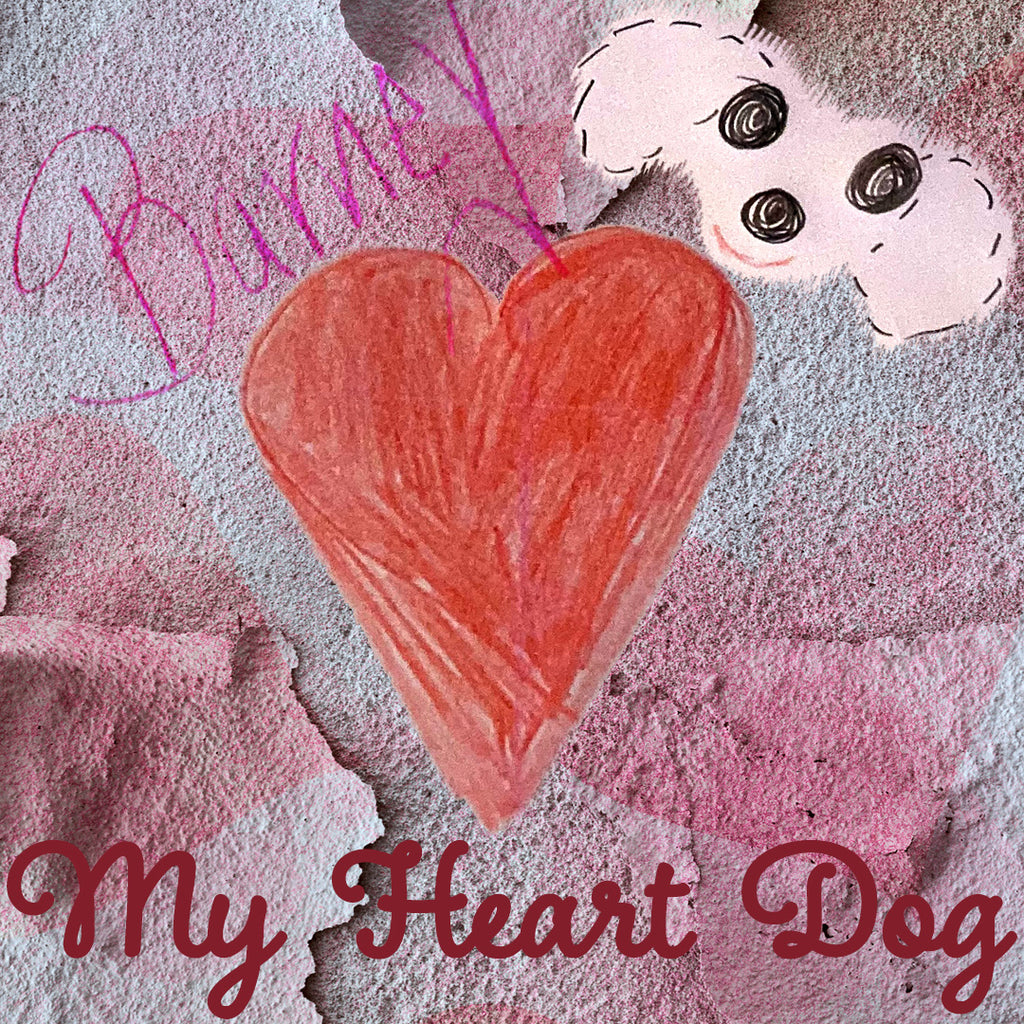 Barney-My Heart Dog