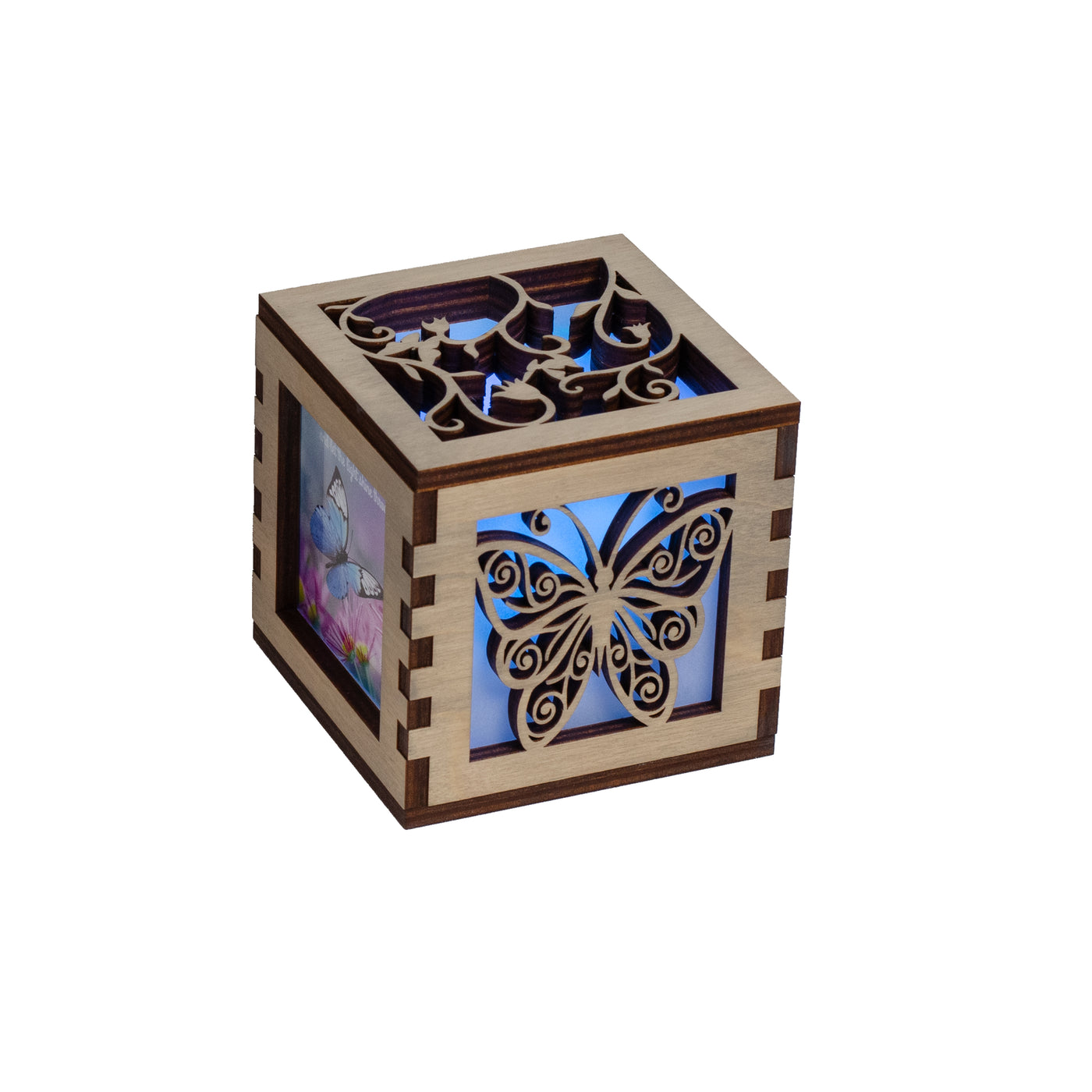 Night Light Box - Butterfly - Fun Gifts | Healing Hearts Journey